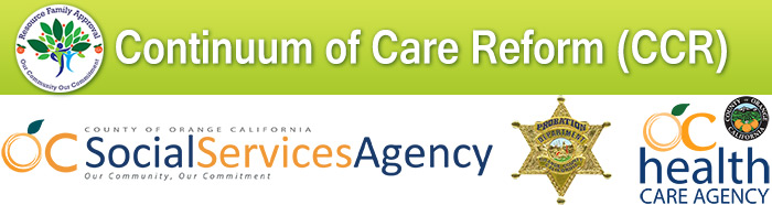 Continuum of Care Reform